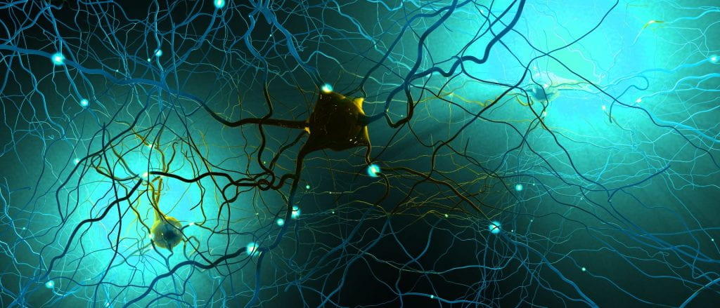 Neurons or nerve cells communicating by using both electrical and chemical signals—a 3D illustration.