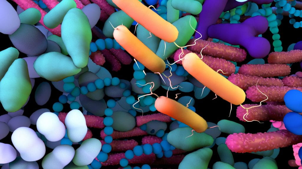 The human microbiome, genetic material of all the microbes that live on and inside the human body.